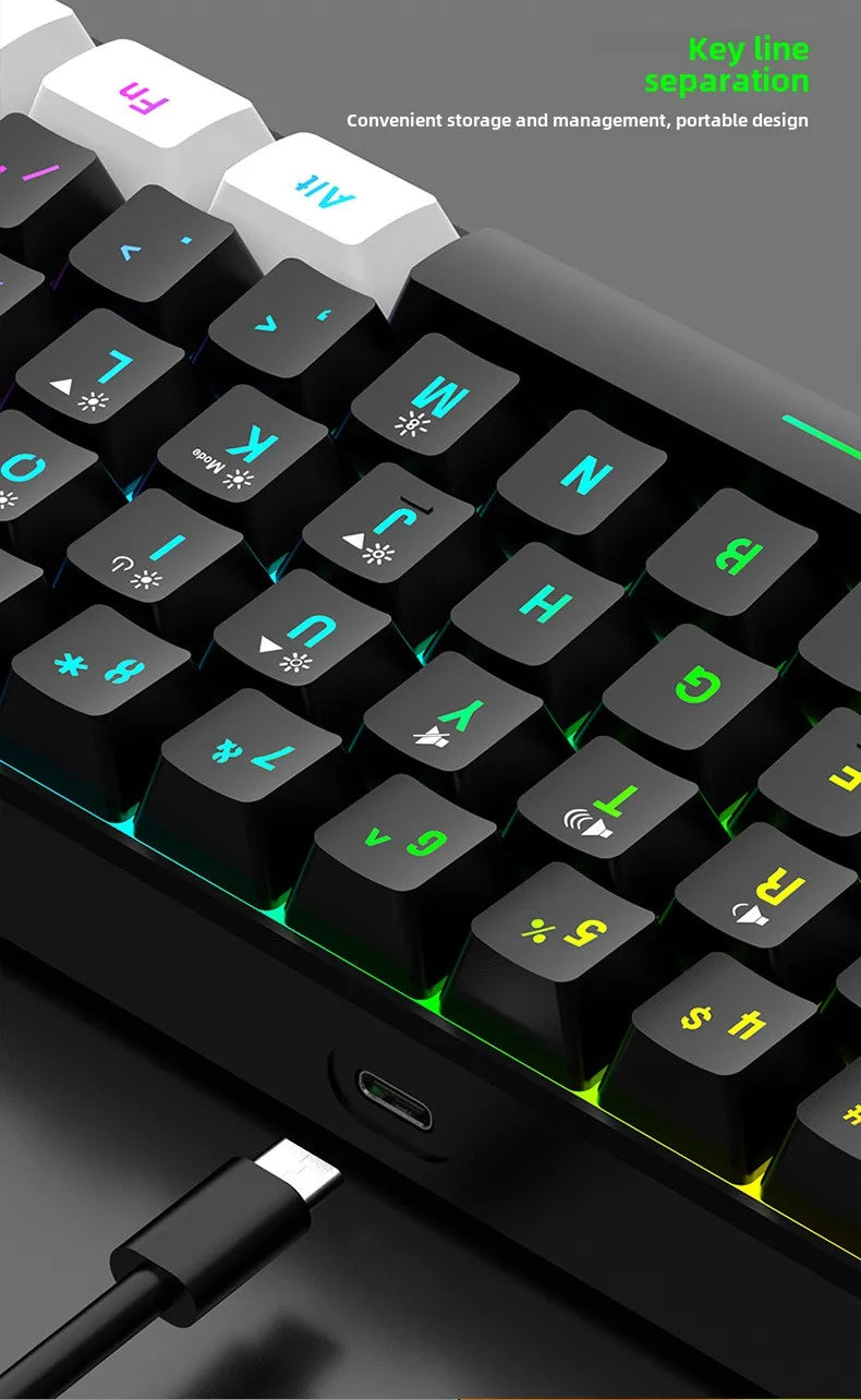 60% RGB Gaming Keyboard and Mouse Combo – Mini 61 Keys Wired PC Gamer Set